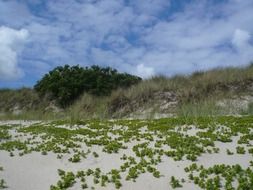 sylt sea