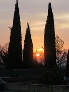 nature of florence at sunset