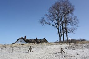 windfluechter beach reed