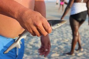 fish in hand close up