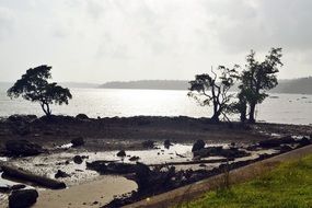 panoramic view of the ocean coast in the bright sun