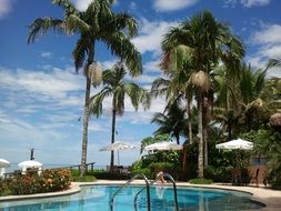 green palm trees by the pool