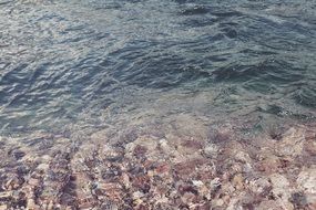 stones in the water near the shore