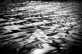 monochrome picture of the ocean water