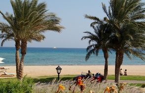 Egyptian beach with palm trees and street lamps