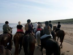 beach walk on horses