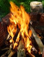 burning campfire among the grass
