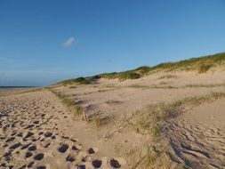 footprints of people in the sand on a beach by the North Sea