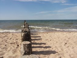 wooden poles on the beach