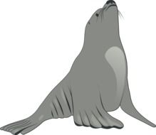painted sea lion