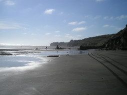 new zealand wonderful beach