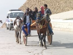 tourist horse carriage in Egypt