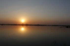 birds on the lake during sunset