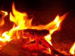 orange flame of fire