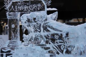 beautiful ice sculpture of tiger, japan, hokkaido