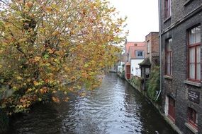 beautiful old city at autumn, belgium, brugge