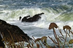 Waves on coastline