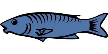 blue ocean fish