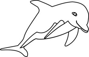 dolphin drawing