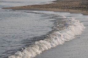 curved foamy sea wave splashing on beach