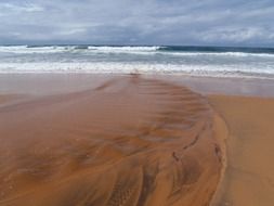 surf on sydney beach