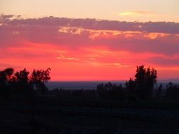 red sunset over the silhouettes of trees