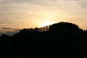 vineyard at dusk, austria, Southern Styria