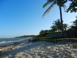 Brazilian sandy beach