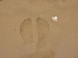 footprints on a sand beach