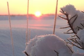 fluffy snow at sunset