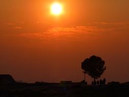 romantic superb sunset abendstimmung tree