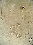 Human footprints on a sand