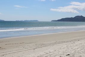 beach ocean summer