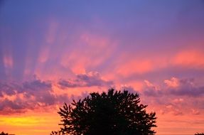 orange evening sky