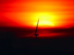 red sunset windmill wing
