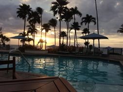 palm trees by the pool at sunset