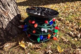 holiday lights decorative