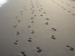 footprints on sandy beach