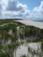 Sand dunes north sea