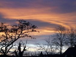 afterglow at sunset over the trees