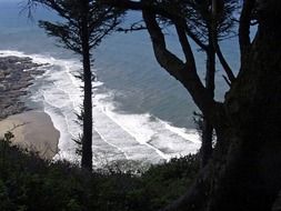 landscape of the trees on cliff above beach