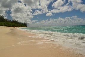 sandy beach in Barbados