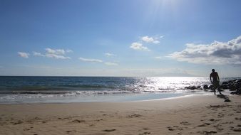 Hawaii beach by the sea