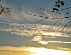 golden dome of a sky