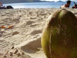 green coconut on sand close up