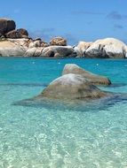 bright summer sea
