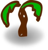 children's drawing of a palm tree with green leaves