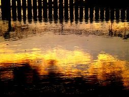 wonderful fence reflection