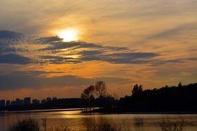 City Forest outlines sea sunset view