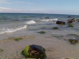 stones in the water on the coast of the baltic sea